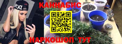 сатива Коммунар