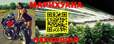 сатива Коммунар