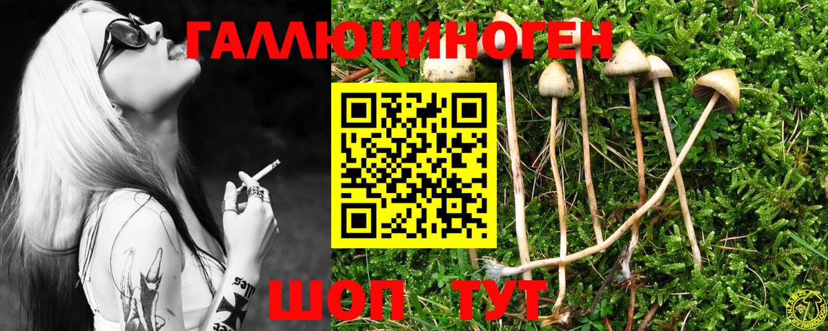 Галлюциногенные грибы Magic Shrooms  Галлюциногенные грибы мицелий  Клинцы  Вход с VPN 